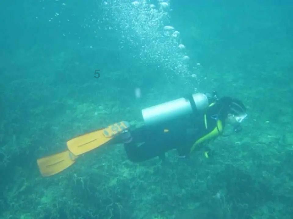 邮报：滕哈赫助教米切尔主要负责抓纪律，一些球员认为他很老派
